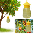 Hanging Fruit Fly Trap