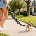 Mosrugs Oversized Chain Dog Leash & Collar Set for Small Dogs - Make Everyday Walks Stand Out