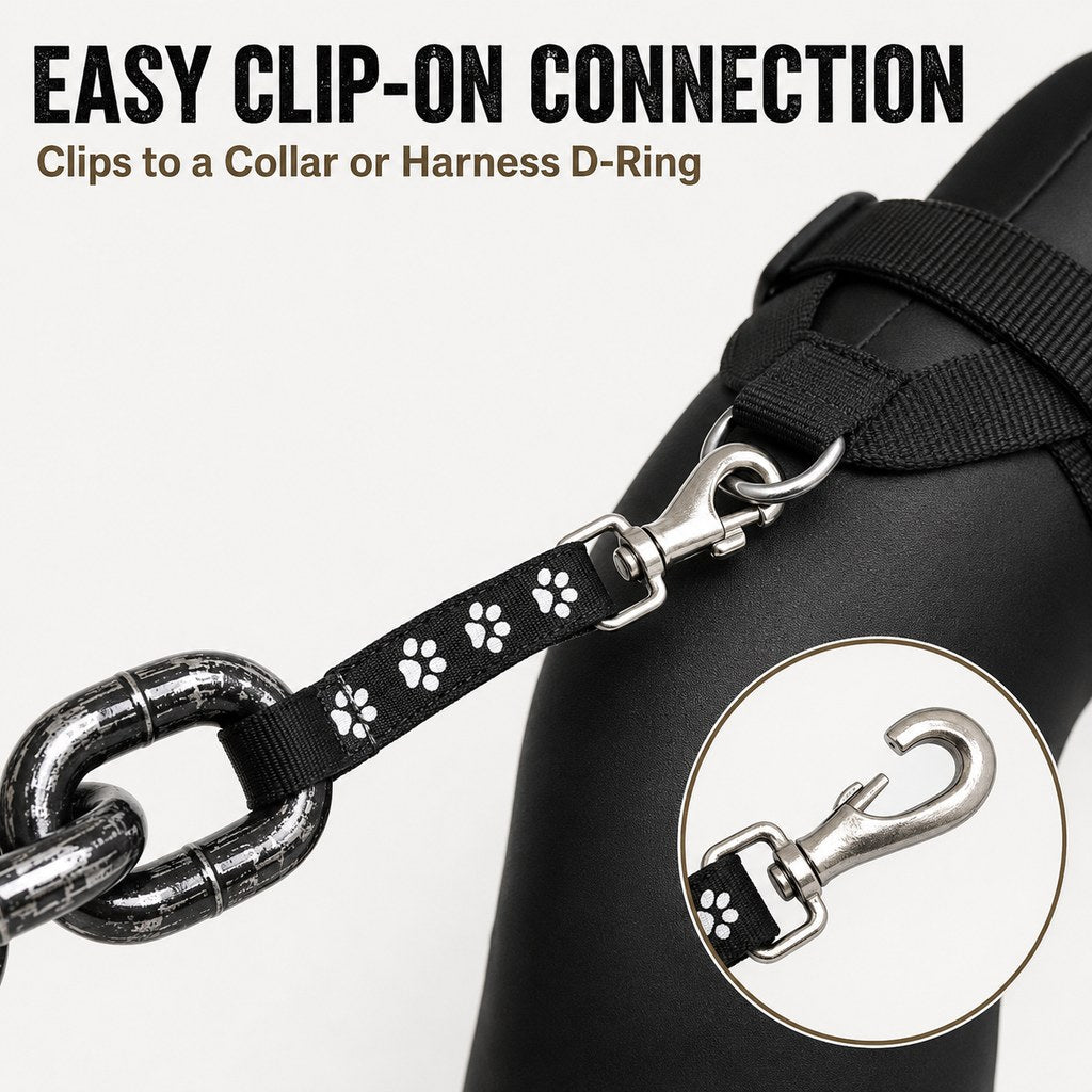 Mosrugs Oversized Chain Dog Leash & Collar Set for Small Dogs - Make Everyday Walks Stand Out