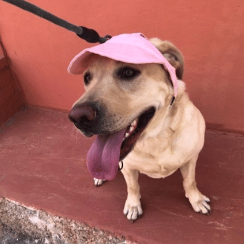 Mosrugs | Dog hat