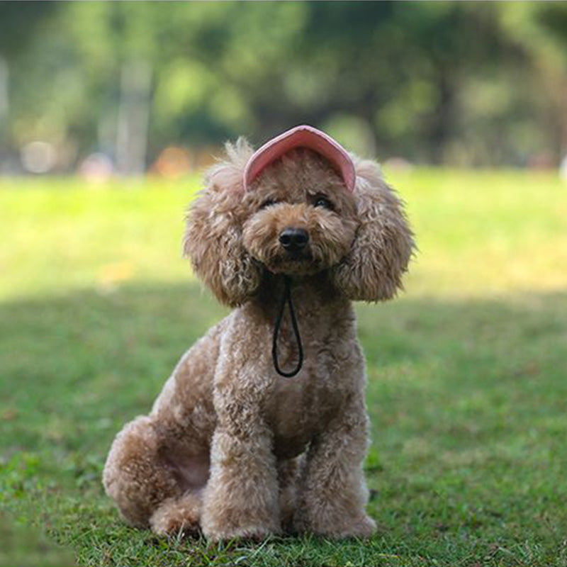 Mosrugs | Dog hat
