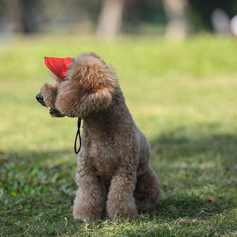 Mosrugs | Dog hat